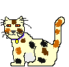kitten4.gif (1932 bytes)